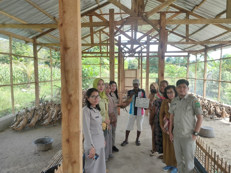 Pemberdayaan Peternakan Kota Palopo Melalui Penyaluran Bantuan Kandang, Ayam Petelur, dan Ternak Itik